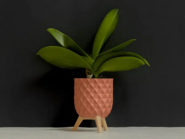 https://makerworld.bblmw.com/makerworld/model/USa9a8e3c66a5786/design/2025-02-07_03de3715c1a078.jpeg