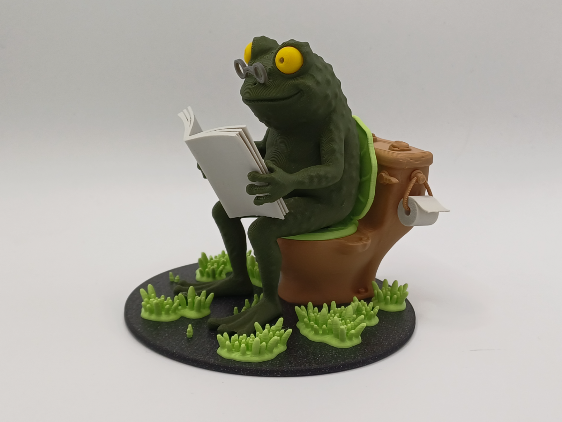 The Intellectual Frog on the WC