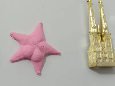 Remix Starfish Magnet CONICET Argentina
