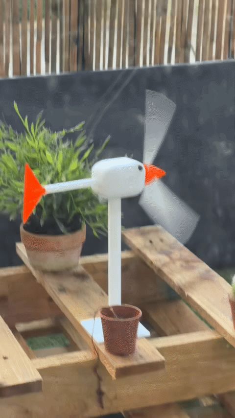 Silly Goose Wind Turbine