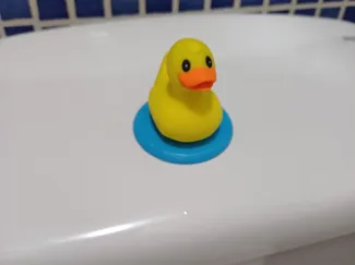 Fixing the toilet