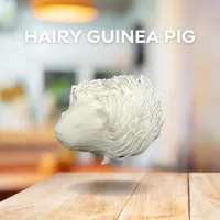 Figurine de cochon d'Inde poilu — photo 2