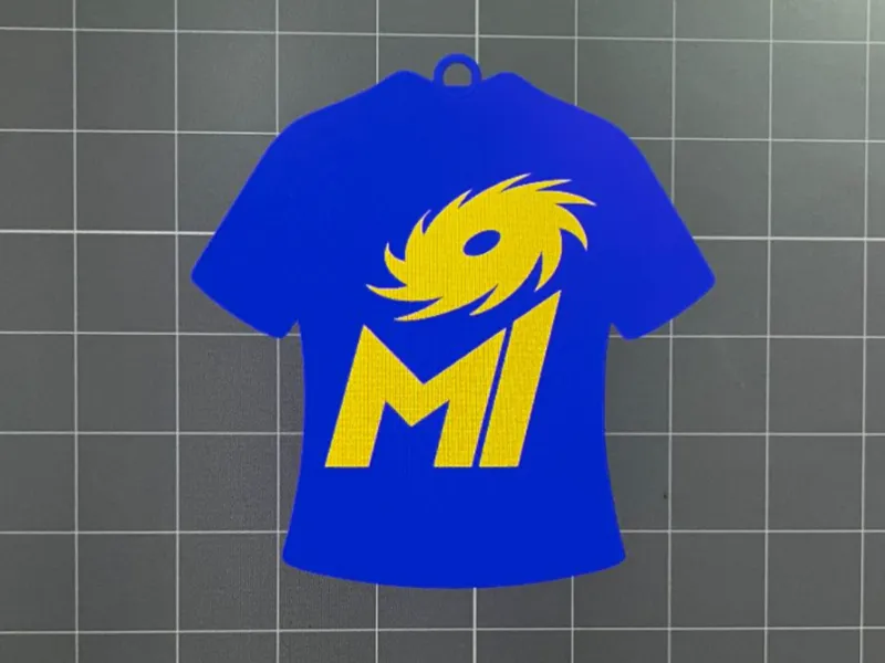 mi logo keychain