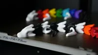 white-black-fire-tail