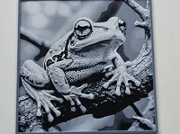0.04mm layer, 1 walls, 100% infill