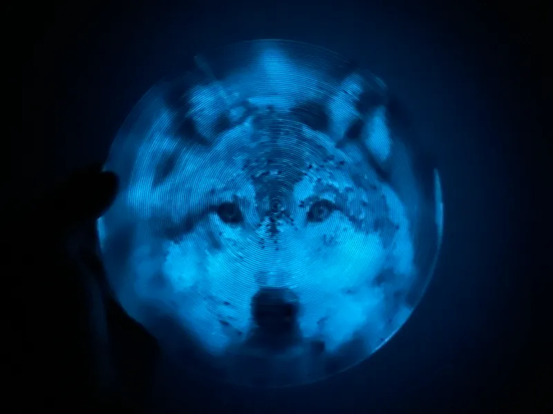 Spiral Portrait Wolf