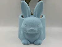0.2mm layer, 3 walls, 5% infill