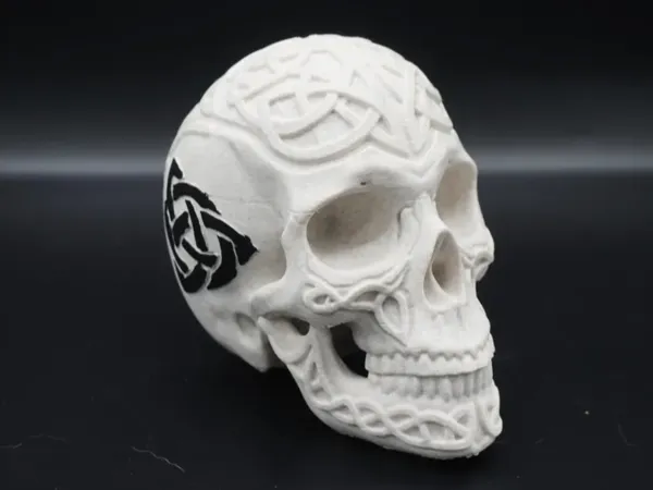 https://makerworld.bblmw.com/makerworld/model/USa9d130ab7935db/design/ca4f53e5c0b271f1.webp
