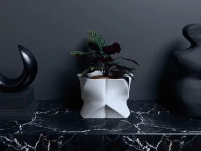 Abstract Flowerpot Untwisted – Zaha Hadid Inspired
