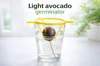 Light avocado seed germinator