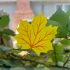 leaf 7 0.2mm layer, 5 walls, 100% infill