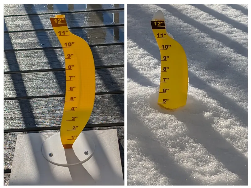 Snow Banana - FOR SCALE! Snow Ruler