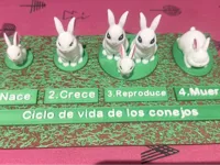 0.2mm layer, 1 walls, 3% infill