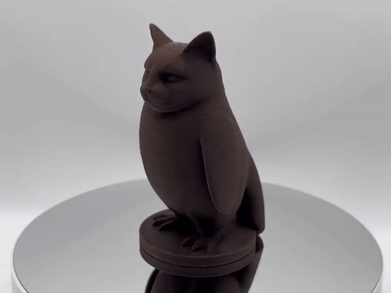Catguin - Cat Penguin Hybrid