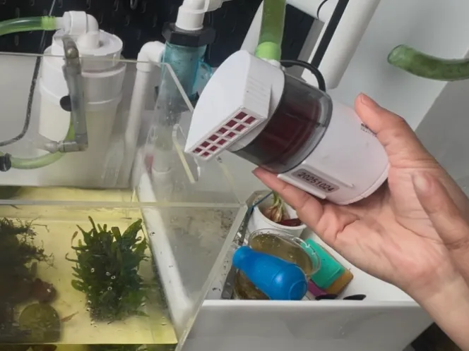 水族时光过滤泵滤网