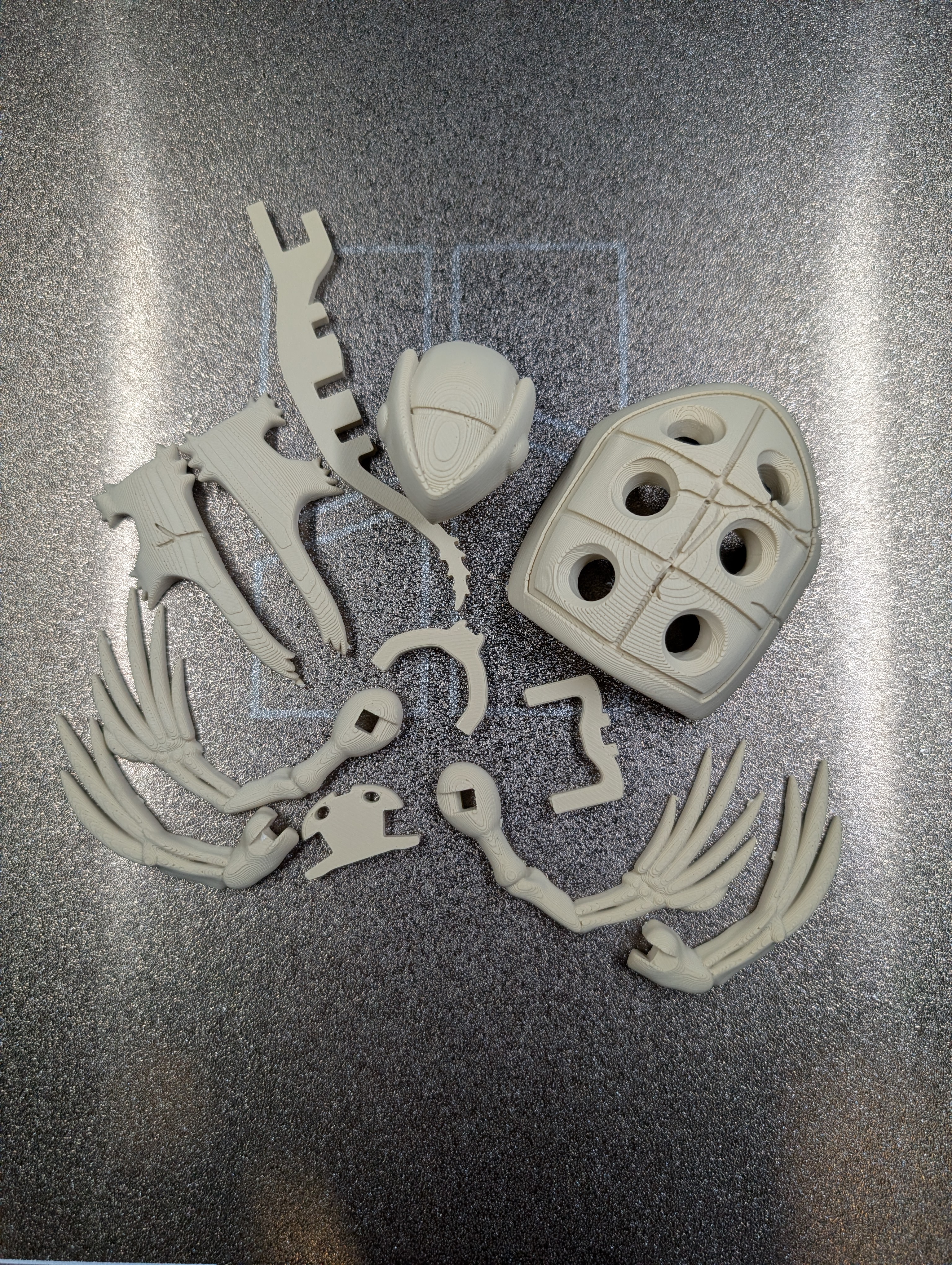 Tirtouga Fossil Puzzle (+Kit Card) - 1