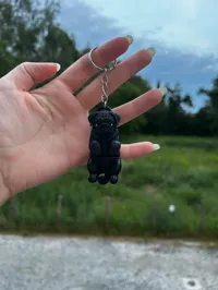 Black Version 0.2mm layer, 2 walls, 15% infill