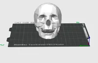 Crâne low poly décoratif — photo 2