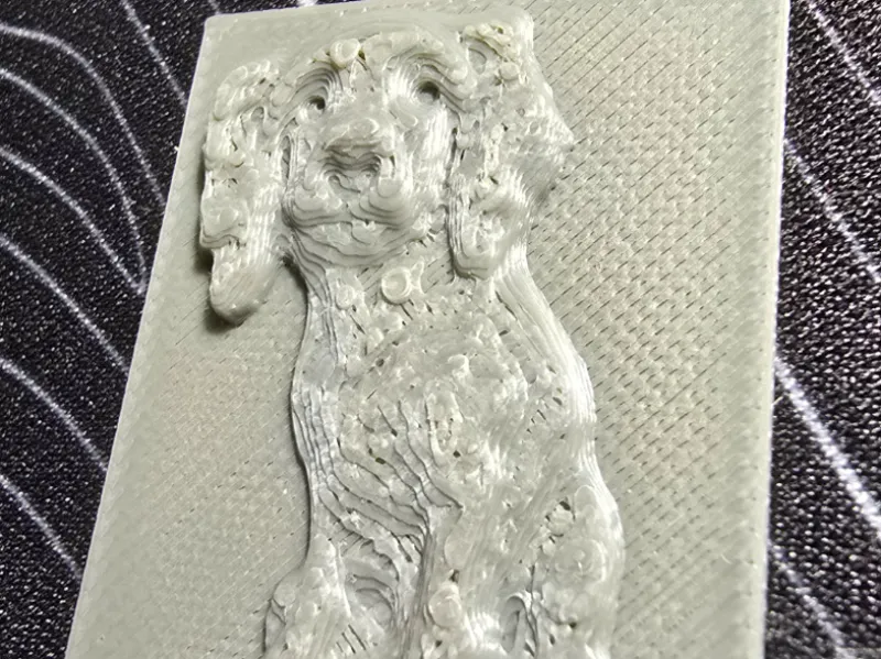 Relief picture of Lucy, our cockapoo