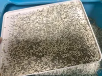 0.2mm layer, 2 walls, 8% infill