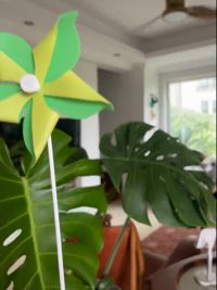 五角风车B_单盘逐件