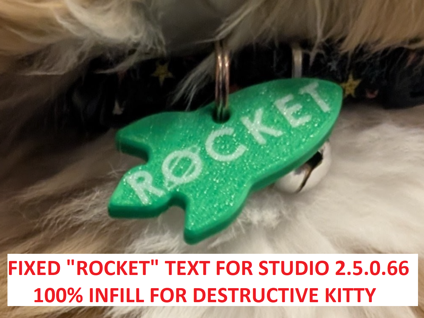 Miniatura 2 do modelo 3D Customizable Pet Tag - Rocket