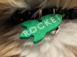Customizable Pet Tag - Rocket