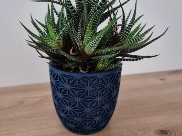 https://makerworld.bblmw.com/makerworld/model/USa9f89a11f8378/design/2025-07-13_7935a358606da.jpg