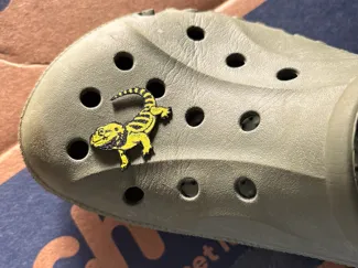 Bearded Dragon Croc Charm