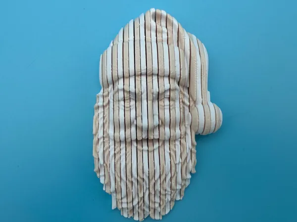 https://makerworld.bblmw.com/makerworld/model/USa9fc909b6d6ecb/design/2025-11-23_c8b8056d5151e8.jpg