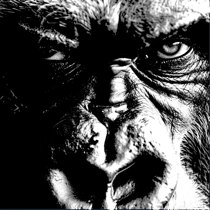 Serious Gorilla Simple B&W Print (HueForge)