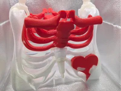 Heartbone bag