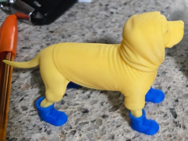 ready for the rain doggie