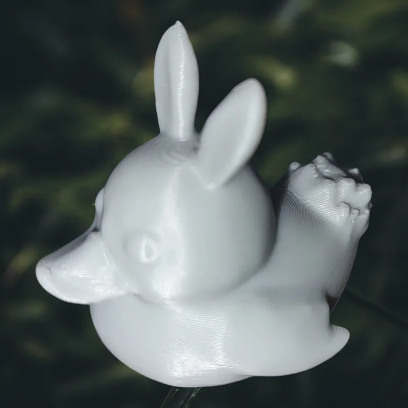 Bunny Duck