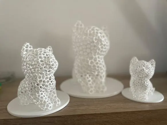 Chat Voronoï (sans supports)
