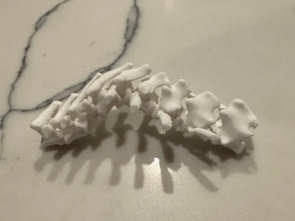 https://makerworld.bblmw.com/makerworld/model/USaa08a78ab4364f/design/0e486e2c3f71acd0.jpeg