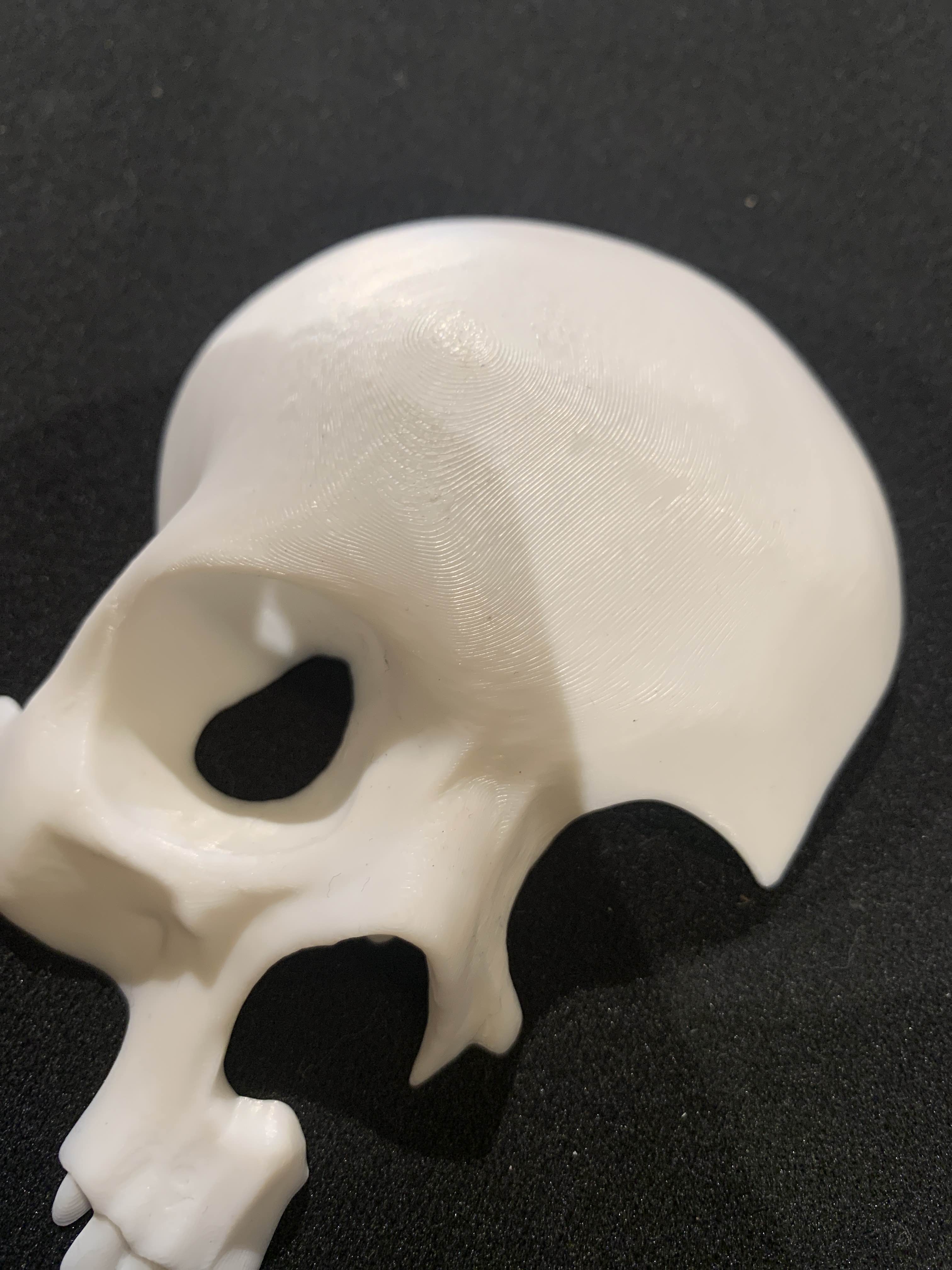 Miniatura 3 do modelo 3D Skull Wall Decor