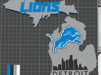 Detroit Lions Wall/Desk decorations