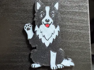 Border Collie