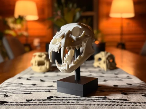 https://makerworld.bblmw.com/makerworld/model/USaa0fc67a96a922/design/2025-03-11_602b6c0bb0bca.jpg