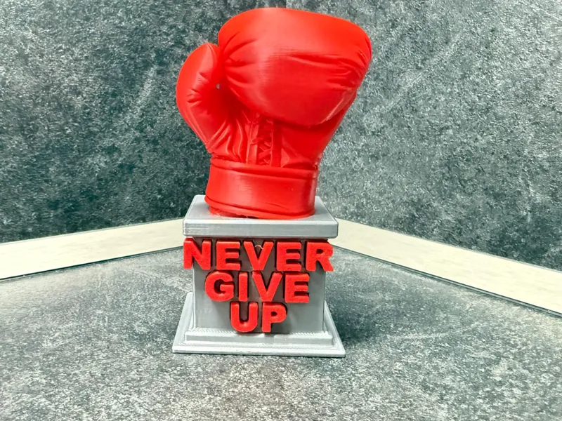 NEVER GIVE UP