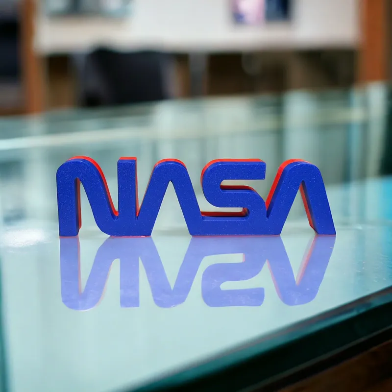 NASA worm logo