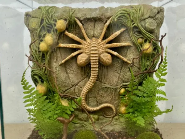 https://makerworld.bblmw.com/makerworld/model/USaa190e9838b1d4/design/fc40dfd0e3de4045.jpg