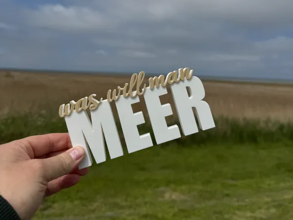 https://makerworld.bblmw.com/makerworld/model/USaa1c8b68f2f279/design/2025-05-17_c2efef7f82d4e.jpg