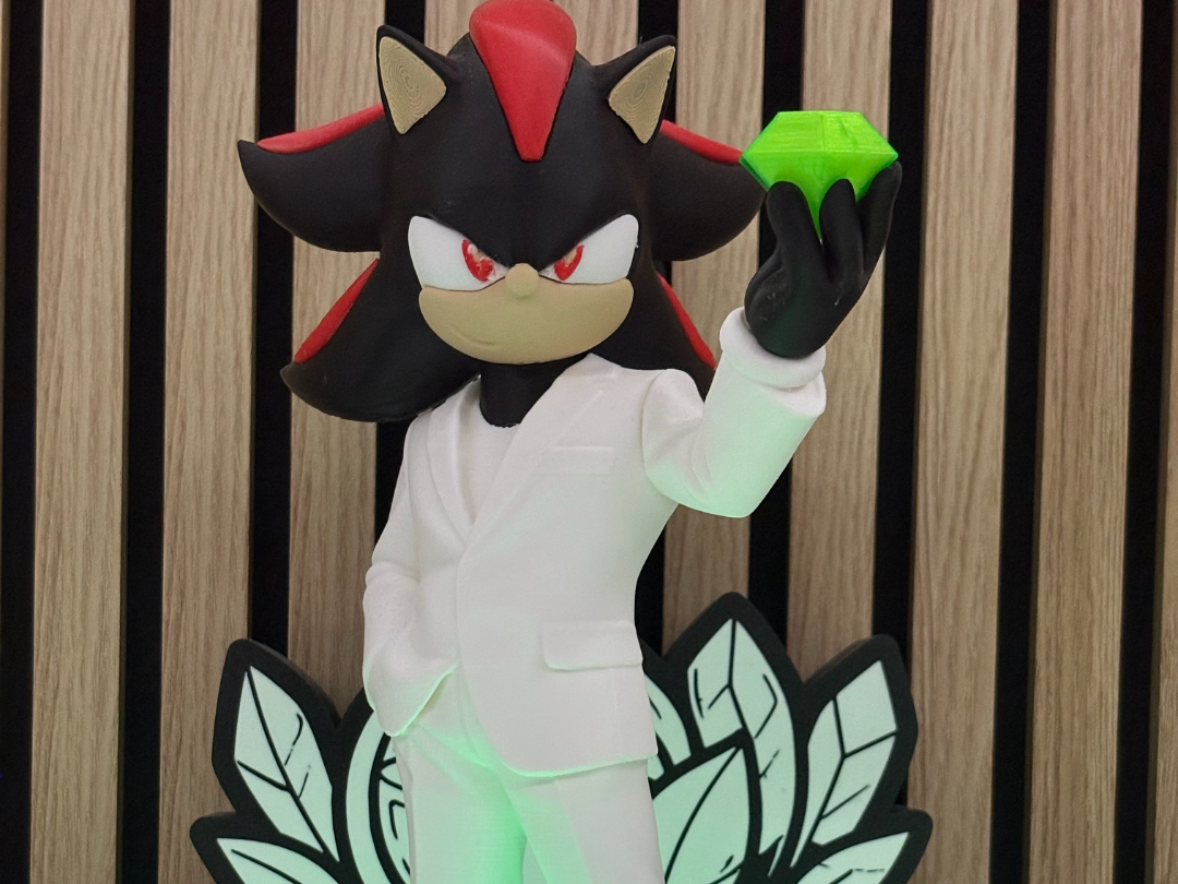 Shadow the hedgehog Fortune 