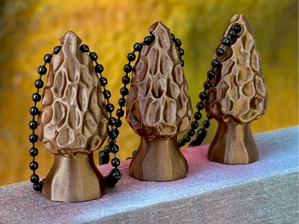 https://makerworld.bblmw.com/makerworld/model/USaa1ee1aedf54c8/design/2025-03-11_e48c3945b81ff.jpg