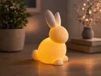 0.2mm layer, 2 walls, 5% infill