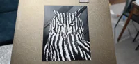 A1 Mini PLA Profile - 0.12mm layer, 1 walls, 100% infill