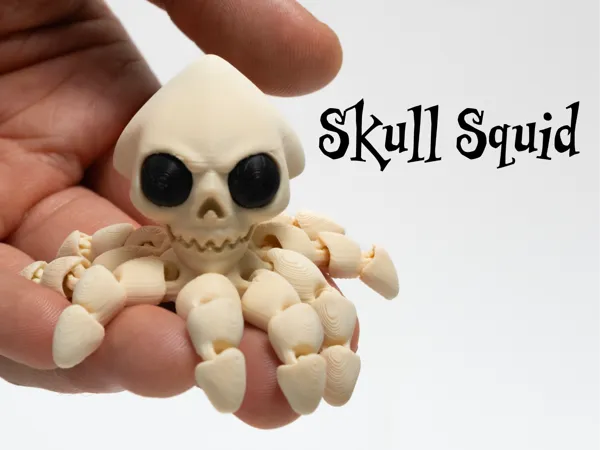 https://makerworld.bblmw.com/makerworld/model/USaa24550b7316b/design/2025-11-02_878b00a2b864c8.jpg