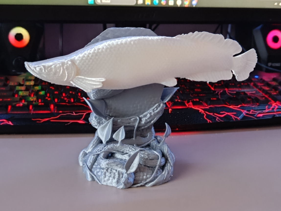 Organic Display Stand - Fishing Collection 01